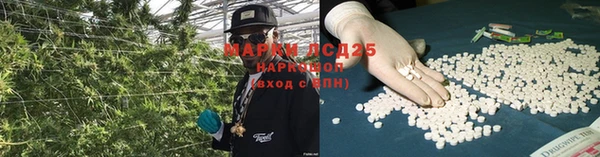 молекула духа Аркадак