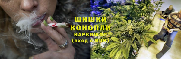 молекула духа Аркадак