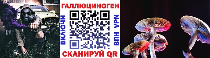 Галлюциногенные грибы GOLDEN TEACHER  МЕГА рабочий сайт  Кирово-Чепецк  закладка 