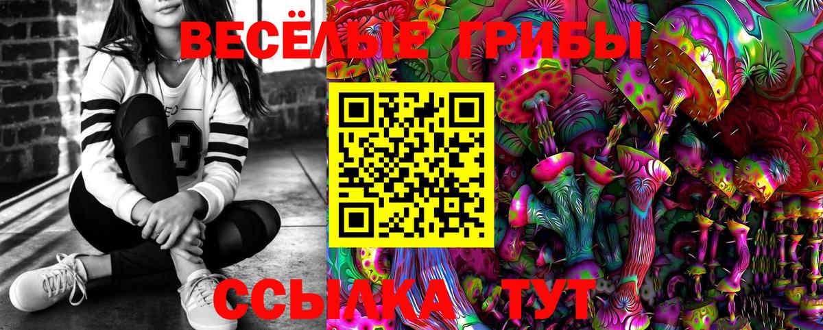 Псилоцибиновые грибы MAGIC MUSHROOMS Кирово-Чепецк