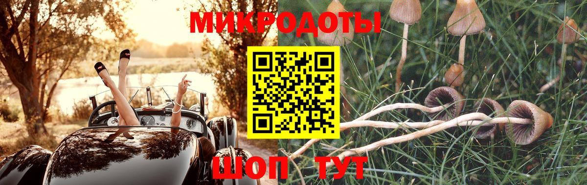 Псилоцибиновые грибы Magic Shrooms  Вход с VPN  Кирово-Чепецк 